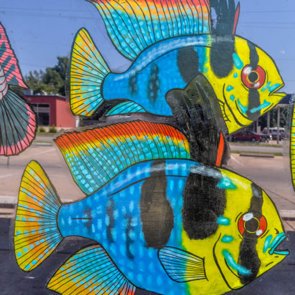 Rainbow Fish - 4618 E. Central, Suite 80 - photo from 2009