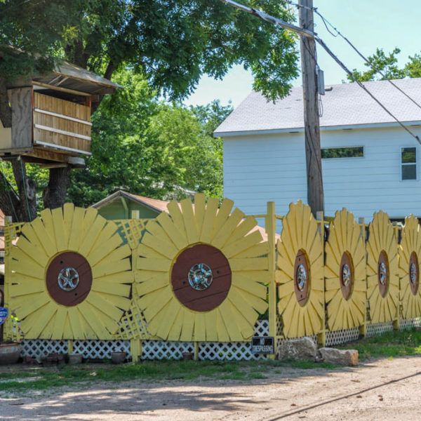 untitled - sunflower fence - 401 S. Poplar - photo from 2009