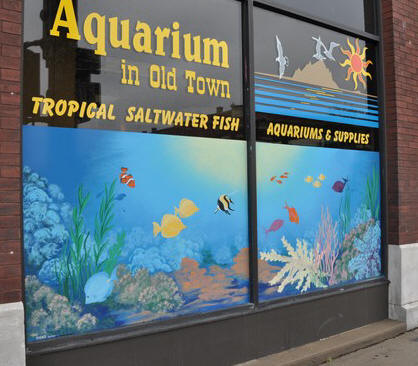 Aquarium in Old Town, 1001 E. Douglas - photo from 2009