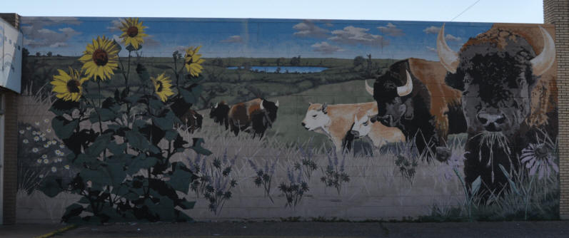 Bison - formerly at 2906 E. Central, covering west-facing wall - by Jonathan Clark, 2004 (KM) - no longer extant